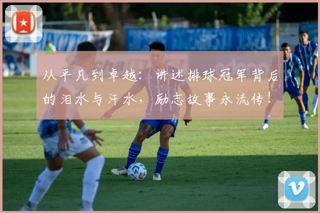 从平凡到卓越:讲述排球冠军背后的泪水与汗水,励志故事永流传!